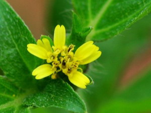 ������_�������Ĺ�Ч|�÷�����