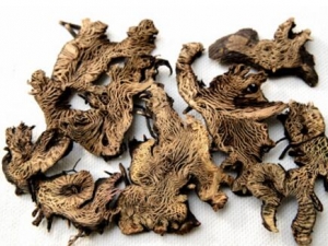 ���������� ��������Ч ��������������