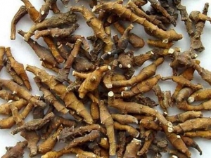 ˮ������ʯ���ѵ���״���� ˮ������ʯ���ѵĹ�Ч����