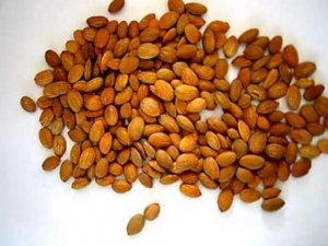 ����ɢ���� ����ɢ��Ч ����ɢ��������