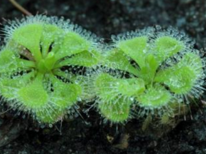 ������_�����޵Ĺ�Ч|��������