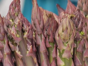 ʳ��«���ע������ «�����������