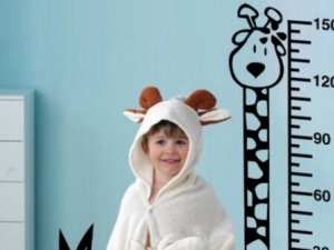 �������ܳ��߳��Ŀ죿��ʲô�ܳ��ߣ�