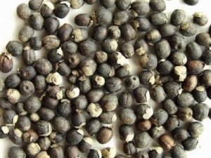 �����ӵĹ�Ч������ ����������θ����