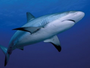 ����ϩ����ϩ������ ����ϩ����ϩ����������