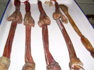 ¹�޵Ĺ�Ч������ ¹����ô��׳��