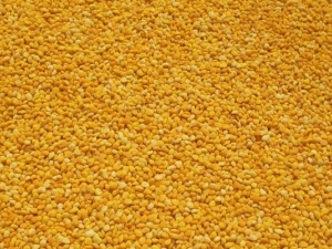 �仨�۵�ҽ�Ʊ������� �仨��Ϊʲô��������