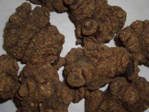 ���־ȼ������� ���־ȼ�����Ч ���־ȼ�����������