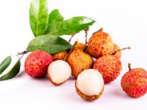 ��֦��Ӫ����ֵ ��֦�����οڳ���