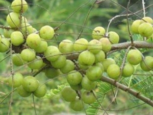 ��Ħ�յĹ�Ч������ ��Ħ�յĸ���