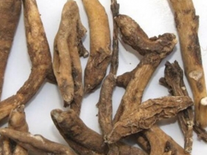 С���ڵĹ�Ч������ С�������ιؽ�����