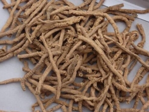 Զ־�Ĺ�Ч������ Զ־���ο�����