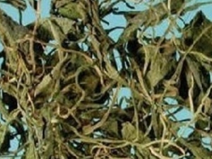 ƿСݵĹЧ ƿС׵ĹЧ