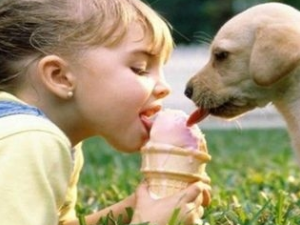 С������θ�׳�ʲô�� С������θ���������