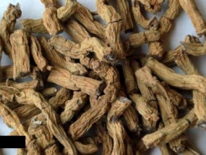 �����Ĺ�Ч������ ���������������֢��