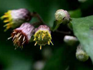 ������_������Ĺ�Ч����|�÷�����