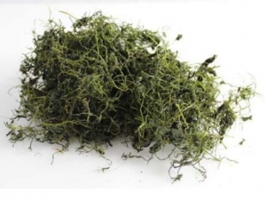 �ʹ����Ĺ�Ч������ �ʹ����ܼ�����