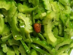 �ཷ����ϵ����� �ཷ�������ô���ó�