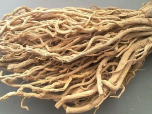 ������Ĺ�Ч������ ������ĸ�������