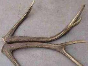 ¹�ǵĹ�Ч������ ¹�Ǻ�¹��ñ������