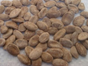 �����账�� �����蹦Ч �������������