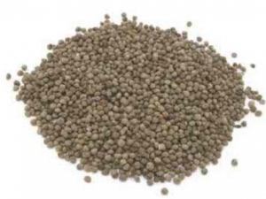 ���Ӽ崦�� ���Ӽ幦Ч ���Ӽ��������