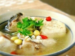 �����ʲô�������� �ճ�������ע������