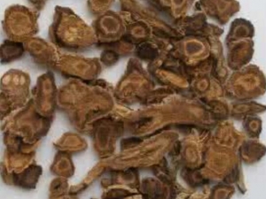 ţβ����Ĺ�Ч������ ţβ����ĸ�������