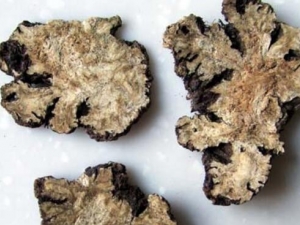 ��ܺ�Ĺ�Ч������ ��ܺ����ʹ����