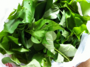 ���ֿ��������˽�Ѫ֬���߲� һ�����˽�һ��