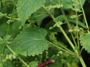 �ƻ�����_�ƻ����˵Ĺ�Ч����|�÷�����