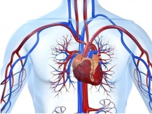 ˥ߵ֢״ Ů˥ߵԭ ˥ô