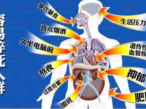 �����������������Ϊ ���Ԥ�������