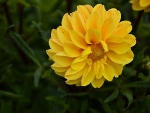 �����յĹ�Ч������ �����յļ��𷽷�