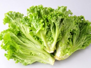 ���˵�Ӫ����ֵ ������ô������