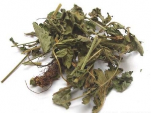 �ɺײݵĹ�Ч������ �ɺײ��ܽ�Ѫ����