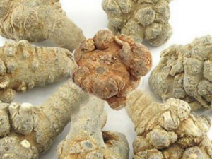 ���˸�_���˸��Ĺ�Ч|�÷�����