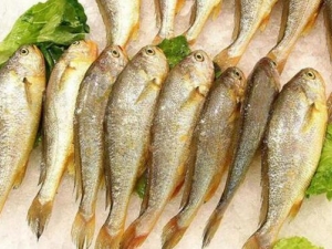 �����Ӫ����ֵ �����ʳ�÷��� ��Щ�˲��ܳԻ���