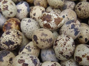 ���ȵ���Ӫ����ֵ ���ȵ���ʳ�÷���