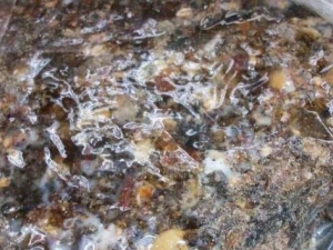 �պ���Բ���� �պ���Բ��Ч �պ���Բ��������