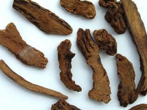 �����Ĺ�Ч������ ������׳����