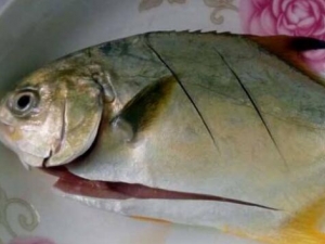 �����Ӫ����ֵ Ů�˳������ܼ���������