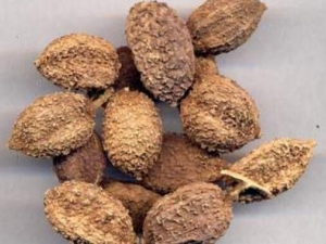 ɰ�ʵĹ�Ч������ �и��ܳ�ɰ����