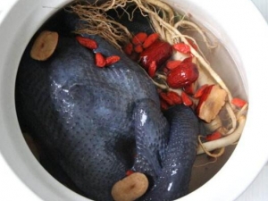 �����ڼ��������� �����ڼ�����ô���ó�