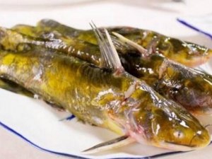 �����Ӫ����ֵ �����ʳ�÷���