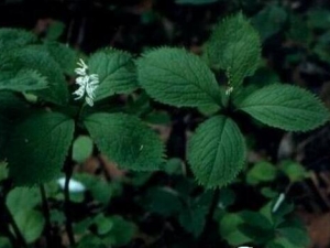 ��ת�ߵĹ�Ч������ ��ת������С�㲻����