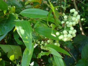 �����β���Сƫ�� �Ժ����ĺô�