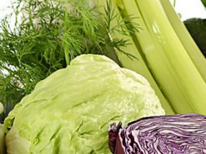 ��������������ļ������� ���м����ı�������