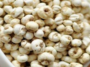 ����ĸ�Ĺ�Ч������ ����ĸ��ҩ������ ����ĸ���ܺ�ʲôһ����