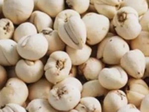 ̫�ױ�ĸ�Ĺ�Ч������ ̫�ױ�ĸ�ĸ���